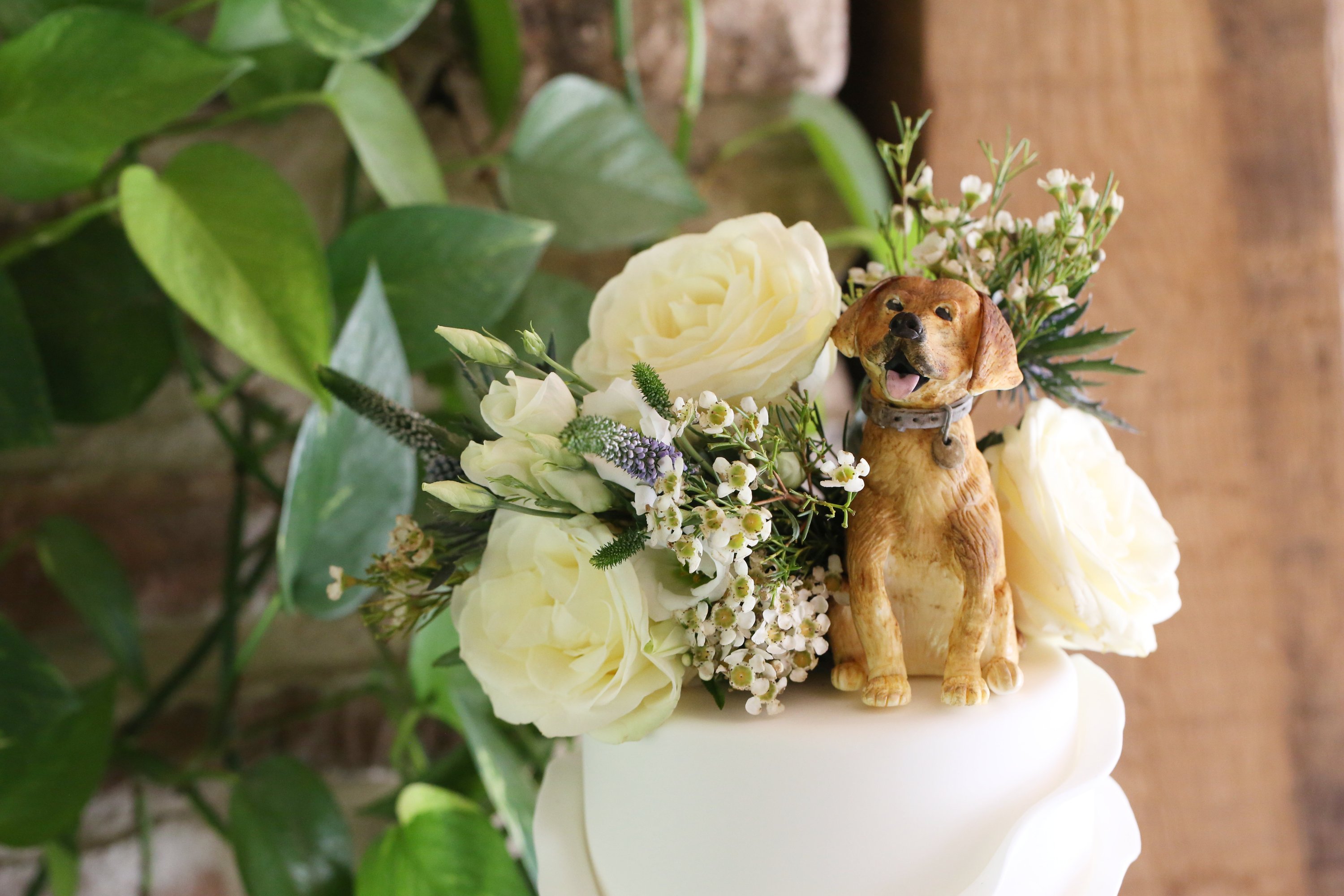 Top tier of a white wedding cake topped with cream roses and a red labrador dog topper