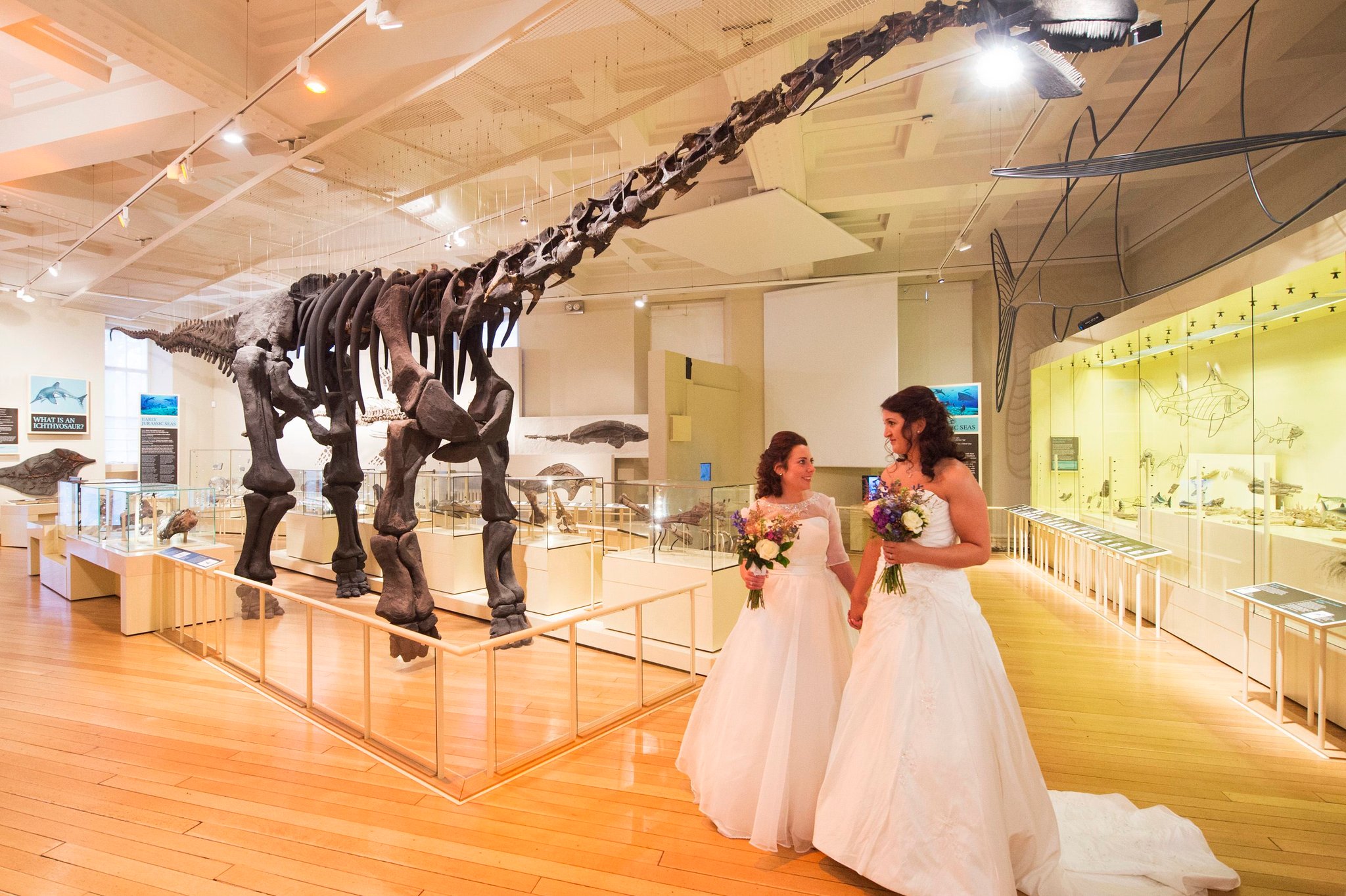 Leicester Museum \u0026 Art Gallery Wedding Venue | Prices \u0026 Costs | Bridebook, image size:2048x1364